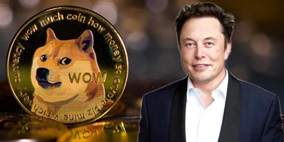 馬斯克否認持有狗狗幣巨鯨錢包！原告控拉高倒貨套現9500萬