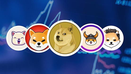 ?用動(dòng)物命名的數(shù)字貨幣有哪些