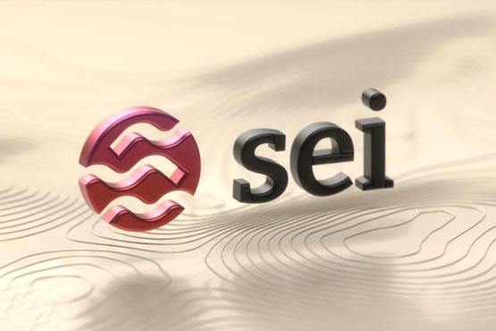 SEI是什么幣種?SEI幣有沒有價值?