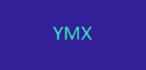 YMX是什么幣種?YMX/亞馬遜幣全面介紹