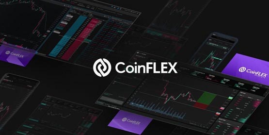 FLEX是什么幣種?FLEX幣怎么樣?