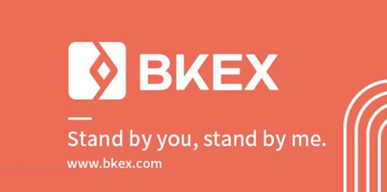 BKK幣怎么樣?一文詳細了解BKEX平臺?