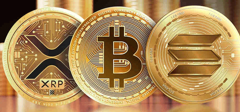 2024年最有潛力的幣盤點(diǎn)_100倍山寨幣