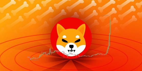 柴犬幣暴漲70％、躍居第11大代幣！生態(tài)BONE、LEASH齊漲