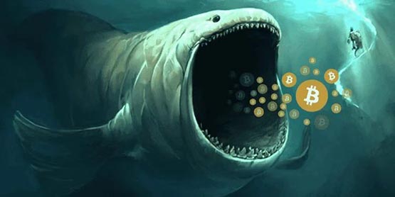 比特幣暴跌兇手?中本聰同期巨鯨將1000枚BTC轉進Coinbase