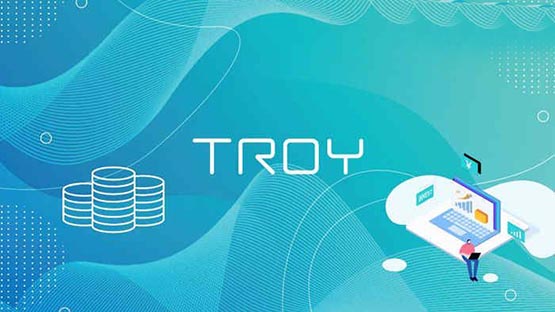TROY幣前景及價值深度分析?TROY是什么幣種