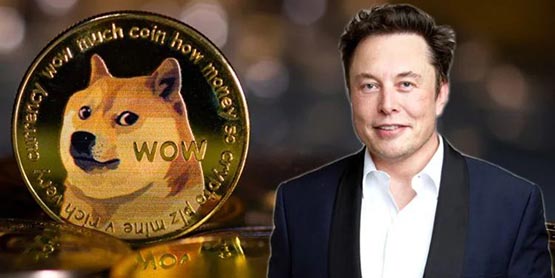 馬斯克喊盤(pán):將開(kāi)放狗狗幣買(mǎi)特斯拉！DOGE_狗狗幣跳漲15%！