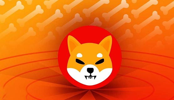 ?柴犬幣2024年會漲到多少錢一枚