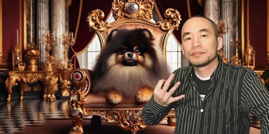 Bobaoppa創(chuàng)歷史新高！黃立成：就說我家狗兒子Meme幣是先跌后漲