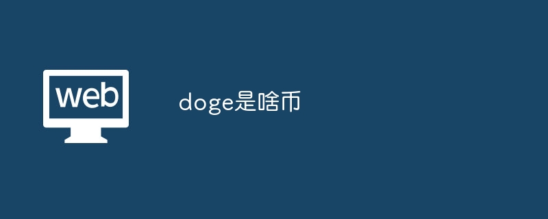 doge是啥幣?