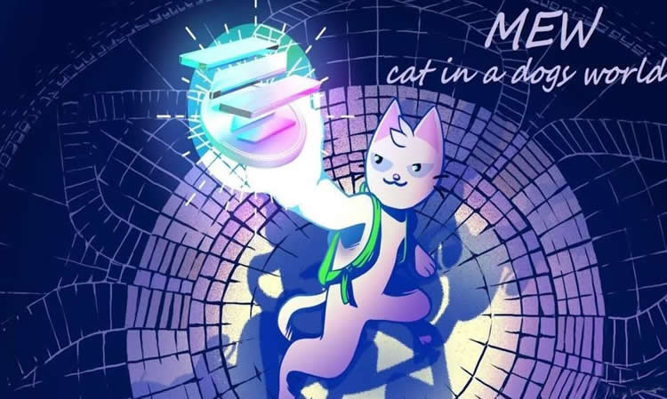 MEW幣在哪買?MEW幣能成萬(wàn)倍幣嗎