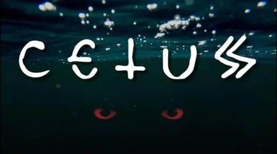 CETUS幣有沒有潛力?有成為龍頭的跡象嗎?