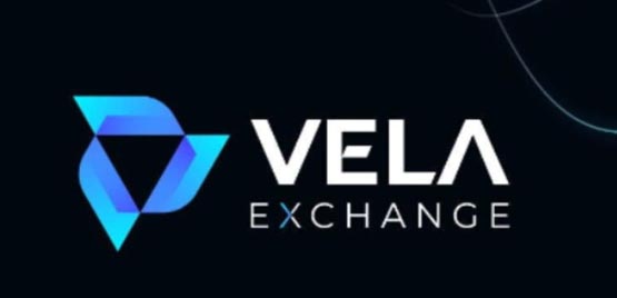 VELA幣前景和未來(lái)分析?VELA幣有價(jià)值嗎
