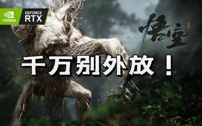 黑神話悟空標準版和豪華版哪個好 標準版和豪華版的不同