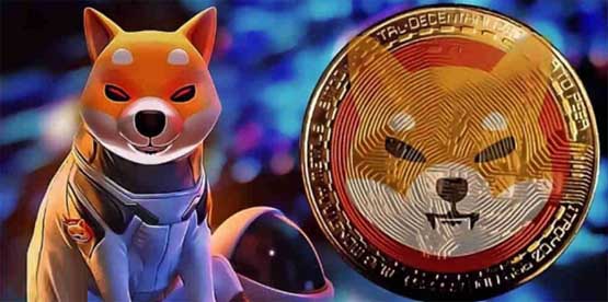 一文詳細了解十年后柴犬幣能漲到100元嗎