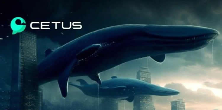 CETUS幣為什么不上幣安?CETUS幣不上幣安的原因分析?