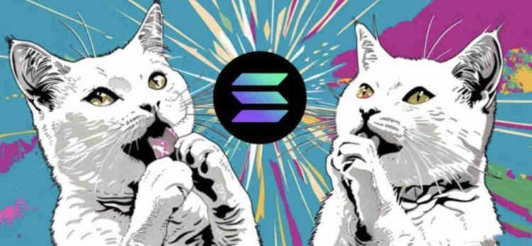 POPCAT幣怎么樣?POPCAT是什么幣種