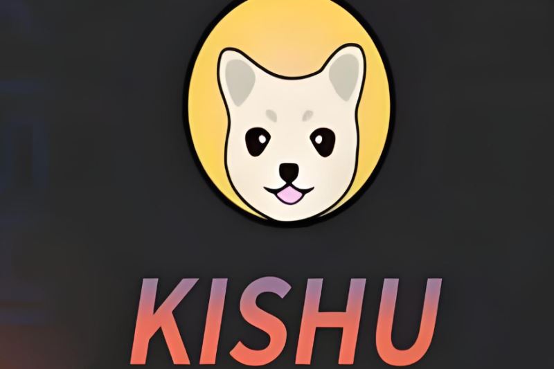 為什么一直跌?還有前景嗎?KISHU幣在國外很火嗎