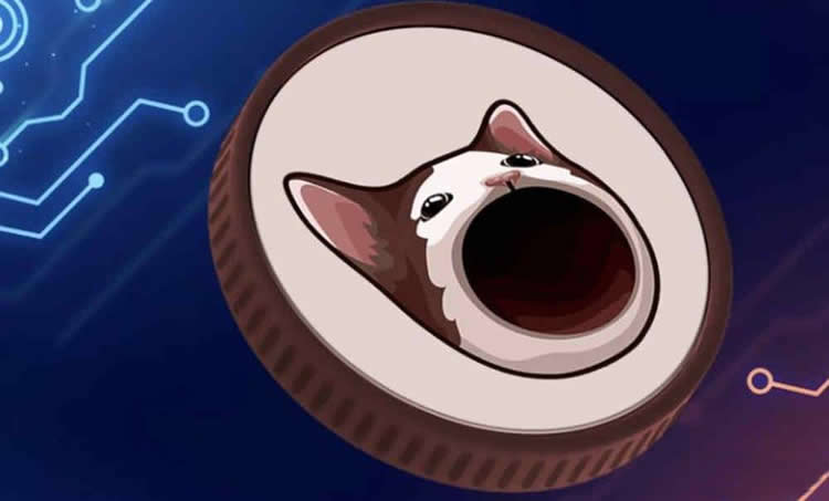 還能漲嗎?POPCAT幣漲了多少倍