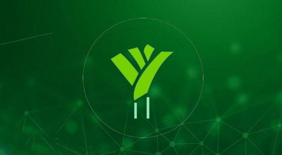 ?一文了解LEEK幣發行總量和發行價格是多少