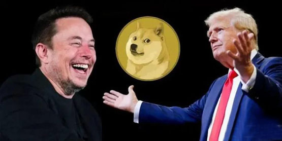 ?狗狗幣超車USDC成第6大加密貨幣！將復(fù)制2021年漲幅