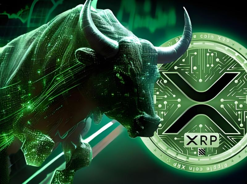 為什么XRP價格今日飆升?【單月上漲400%還能買嗎?】12月能創歷史新高嗎?