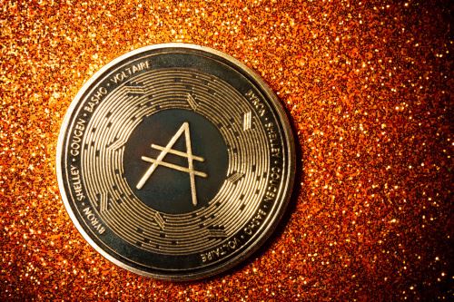 ADA幣未來會漲到多少?2024_2030年艾達幣價格預測