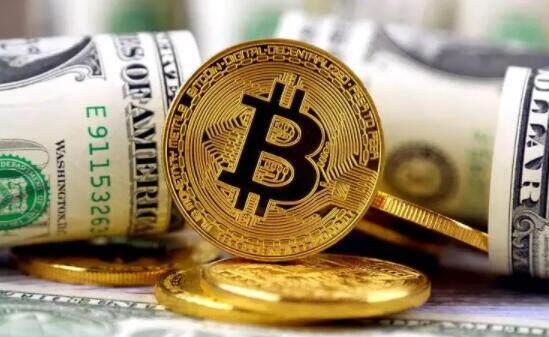 虛擬貨幣知識入門【虛擬貨幣知識百科大全】