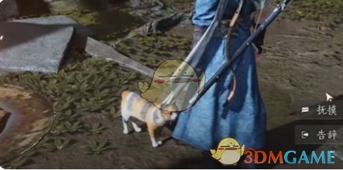 《燕云十六聲》浣石浦貓咪位置一覽