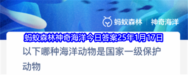 以下哪種海洋動物是國家一級保護動物