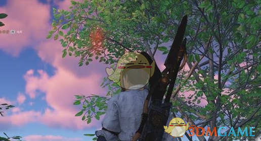 《燕云十六聲》抬頭花見(jiàn)紅收集位置