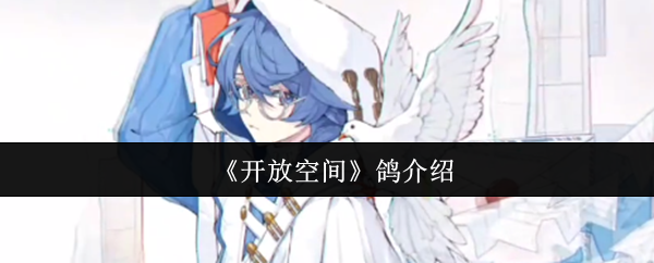 《開放空間》鴿介紹
