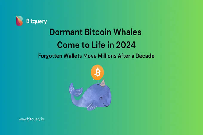 考古2024“重現江湖”的十大比特幣巨鯨:最高轉移超1000枚BTC,最低成本不足1美元