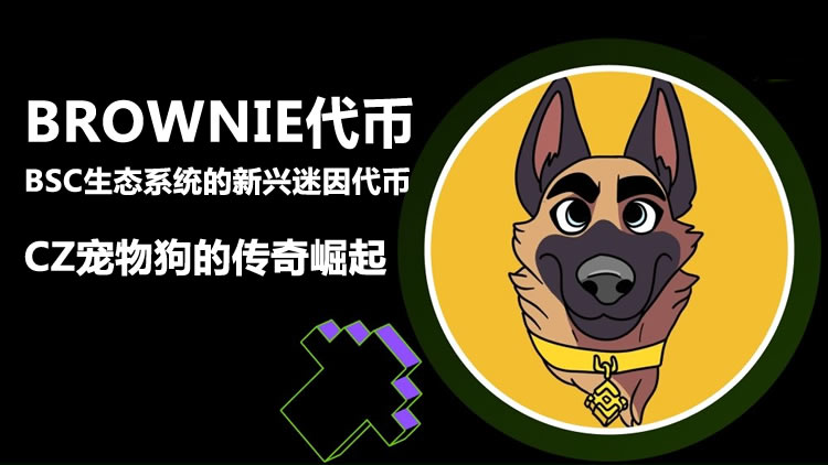 BROWNIE代幣:BSC生態系統的新興迷因代幣