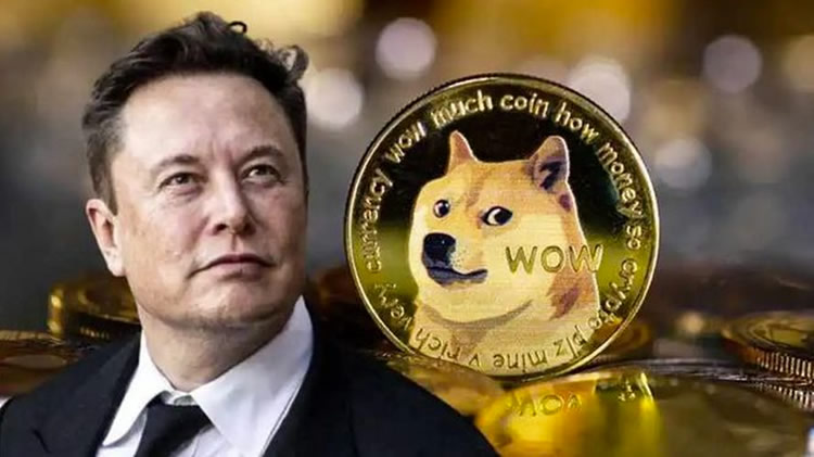馬斯克辟謠DOGE傳聞:狗狗幣抄底機會何在?