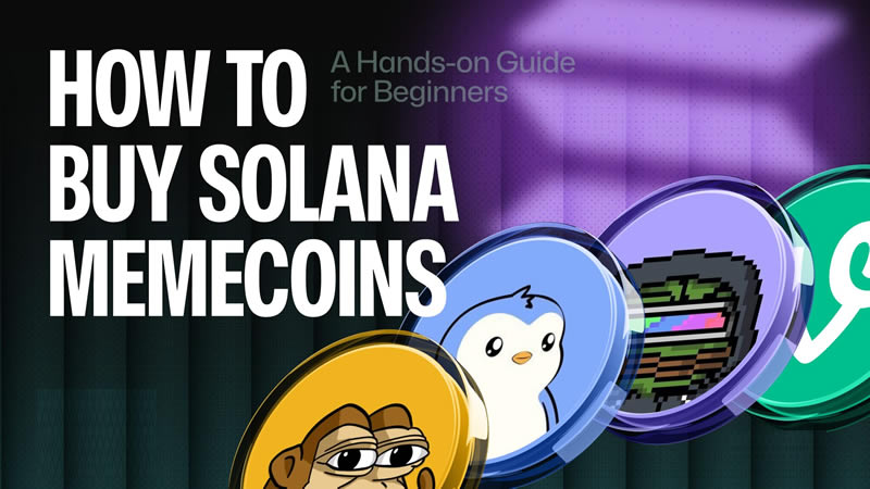 Solana迷因幣有哪些?怎么購買?最佳Solana?【Meme代幣列表】