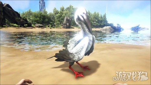 你有仔細(xì)了解過嗎?(十大惹人厭生物排名)