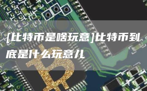 比特幣是啥玩意比特幣到底是什么玩意兒?