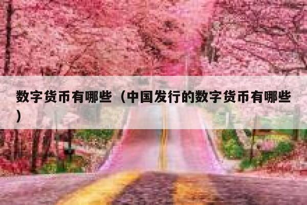 數(shù)字貨幣有哪些（中國發(fā)行的數(shù)字貨幣有哪些）