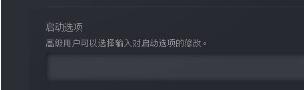 dota2國服啟動項怎么設置