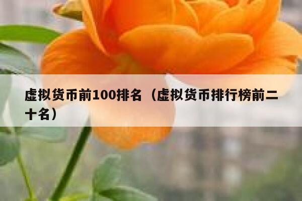 虛擬貨幣前100排名（虛擬貨幣排行榜前二十名）