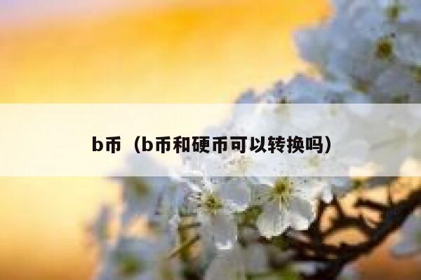 b幣（b幣和硬幣可以轉(zhuǎn)換嗎?）