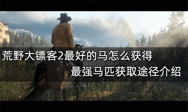 荒野大鏢客2最好的馬怎么獲得 最強(qiáng)馬匹獲取途徑介紹