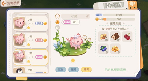 奧比島夢想國度寵物有哪些 最新寵物圖鑒大全