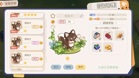 奧比島夢想國度寵物有哪些 最新寵物圖鑒大全