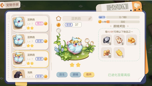 奧比島夢想國度寵物有哪些 最新寵物圖鑒大全
