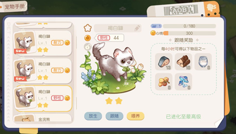 奧比島夢想國度寵物有哪些 最新寵物圖鑒大全