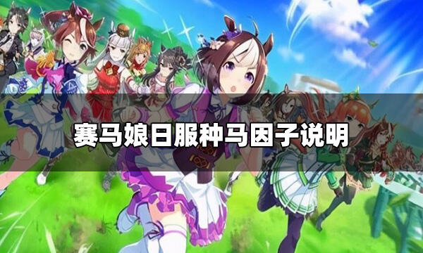 賽馬娘日服怎么培養(yǎng)種馬 種馬因子說明