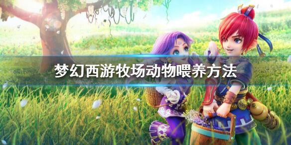 夢幻西游牧場動物怎么喂養 夢幻西游牧場動物喂養方法