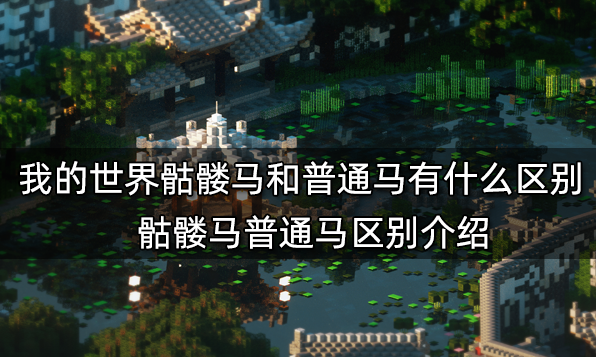 我的世界骷髏馬和普通馬有什么區別 骷髏馬普通馬區別介紹